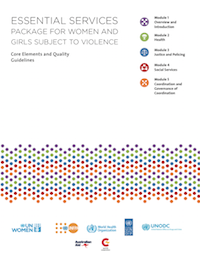 Essential Services: Package for women and girls subject to violence